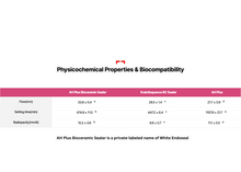 Load image into Gallery viewer, Endoseal MTA White, Premixed Injectable Paste (2g)