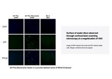 Load image into Gallery viewer, Endoseal MTA White, Premixed Injectable Paste (2g)