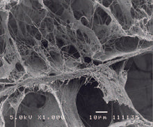 Load image into Gallery viewer, Curagen™ Collagen Wound Dressing Plug, 10x20mm (3/8" x 3/4"), 10 /box